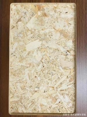 專家解讀，大咖坐鎮(zhèn)！曲美家居首發(fā)零甲醛添加原木結(jié)構(gòu)板，加拿大OSB板革新家居環(huán)保標(biāo)準(zhǔn)