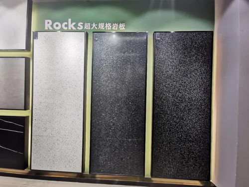 寶達(dá)集團(tuán)張剛 巖板是現(xiàn)代仿古升級版，其進(jìn)化應(yīng)遵從市場邏輯，推動(dòng)免漆扣板發(fā)展